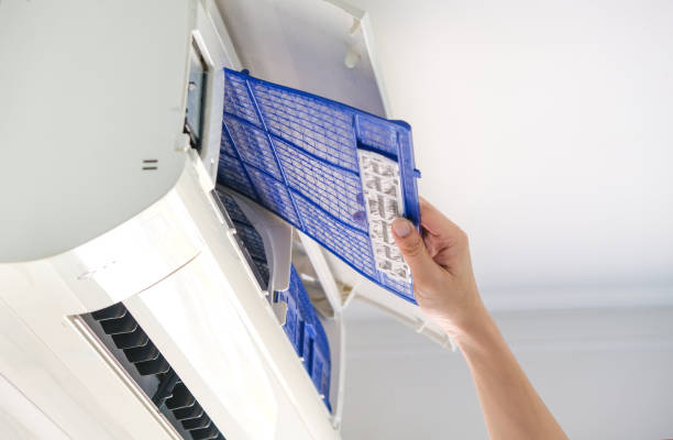 Best HVAC Air Duct Cleaning  in Cass City, MI